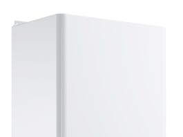 scaldacqua istantanei