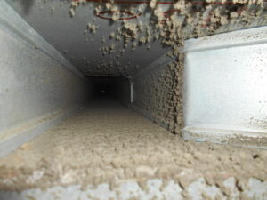 intelligenza artificiale