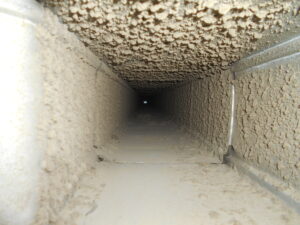 intelligenza artificiale