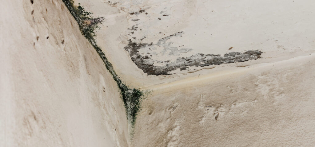 danni manutenzione condominio