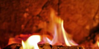 biocombustibili solidi