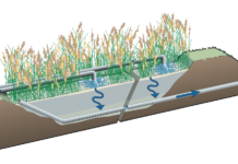 Le parole di GT – Fitodepurazione fitodepurazione