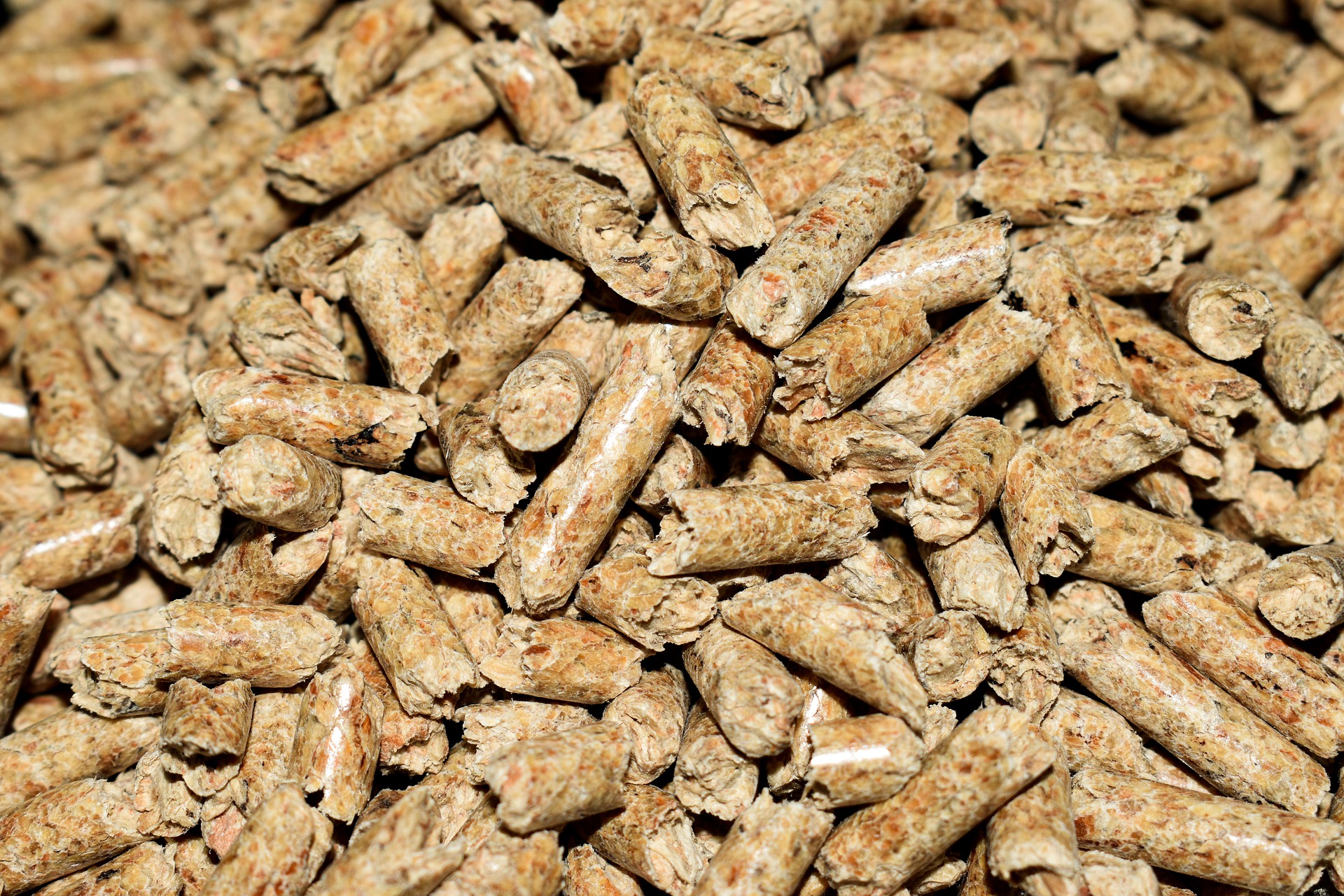 biomasse