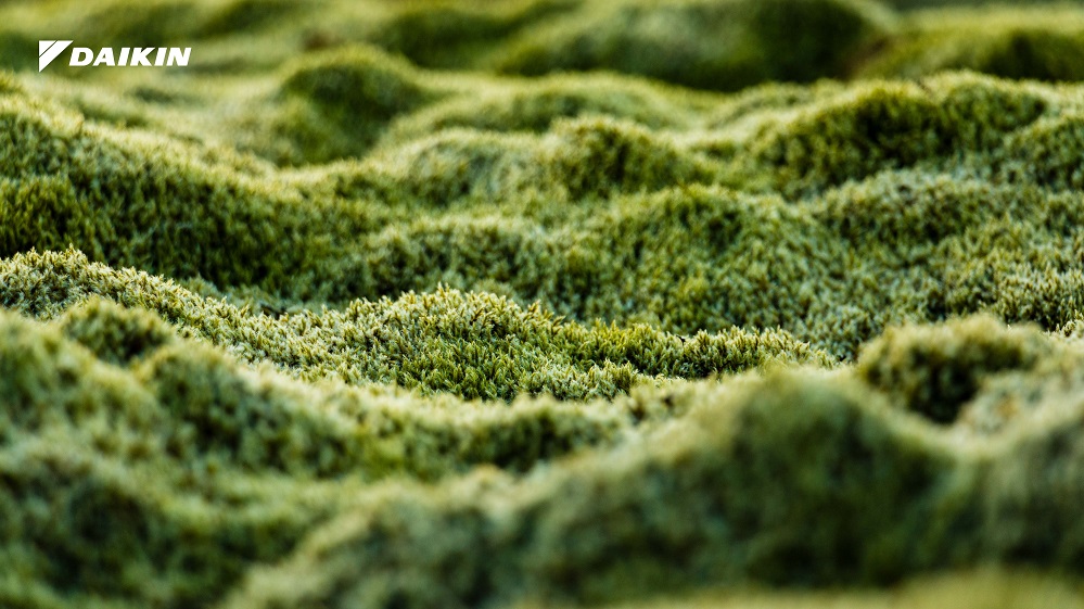 Le nuove tappe di Daikin verso la carbon neutrality entro il 2050