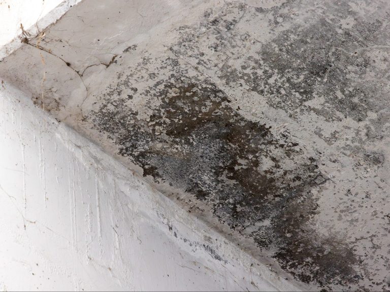 Risarcimento danni e mancato utilizzo dell’immobile