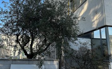 Cambielli. Evoluzione al centro del business