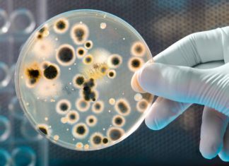 Infezioni associate all’assistenza domiciliare