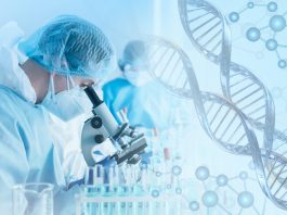 Neuroblastoma: studiare le mutazioni genetiche