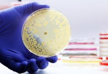 Resistenza antimicrobica nelle infezioni pediatriche