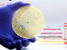 Resistenza antimicrobica nelle infezioni pediatriche