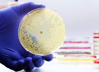 Resistenza antimicrobica nelle infezioni pediatriche