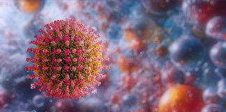 Morbillo, segnalazioni in crescita in Italia