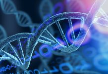 Leucemia infantile, alla base dell’insorgenza un’alterazione genetica “silente”