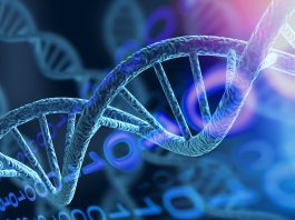 Leucemia infantile, alla base dell’insorgenza un’alterazione genetica “silente”