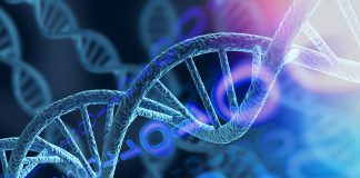 Screening neonatale, la svolta della genomica: diagnosi precoce per le malattie rare e bilanci più sostenibili