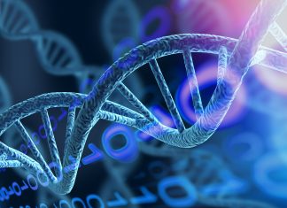 Leucemia infantile, alla base dell’insorgenza un’alterazione genetica “silente”