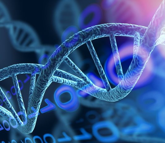 Leucemia infantile, alla base dell’insorgenza un’alterazione genetica “silente”