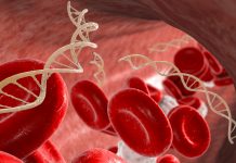 Beta-talassemia, verso una strategia nazionale integrata