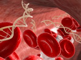 Beta-talassemia, verso una strategia nazionale integrata