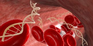 Beta-talassemia, verso una strategia nazionale integrata