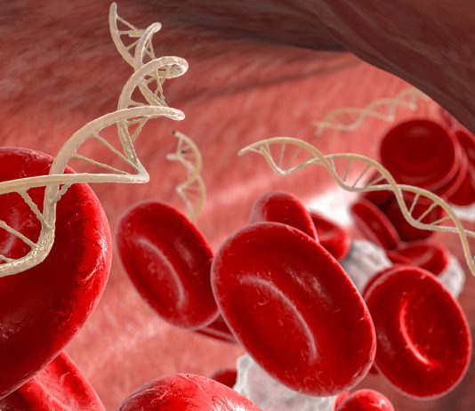 Beta-talassemia, verso una strategia nazionale integrata