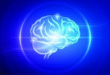 Un “avatar” e un sistema 3D per studiare i tumori cerebrali pediatrici