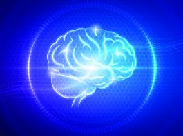 Un “avatar” e un sistema 3D per studiare i tumori cerebrali pediatrici