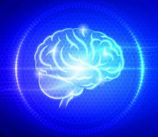 Un “avatar” e un sistema 3D per studiare i tumori cerebrali pediatrici