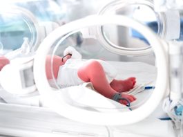 AI come strumento predittivo per supportare la definizione dell’alimentazione nei neonati prematuri