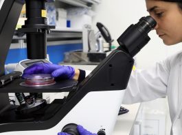 Mononucleosi e sclerosi multipla nei bambini: confermato il legame