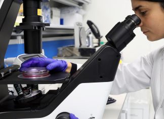 Mononucleosi e sclerosi multipla nei bambini: confermato il legame