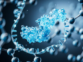 Molecola di RNA e sopravvivenza del medulloblastoma