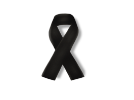 L’Ordine degli Psicologi si unisce al cordoglio per Maria Rita Parsi