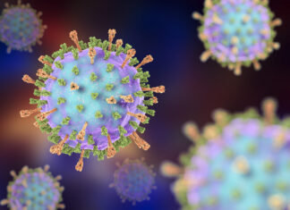 Parotite: epidemiologia e determinanti delle epidemie