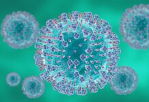 RSV, uno studio per individuare la migliore strategia di prevenzione