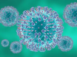 RSV, uno studio per individuare la migliore strategia di prevenzione