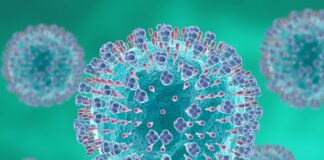 Immunizzazione contro l’RSV: l’esperienza acquisita e la prospettiva futura