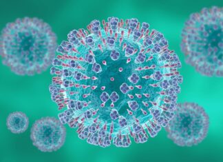 RSV, uno studio per individuare la migliore strategia di prevenzione