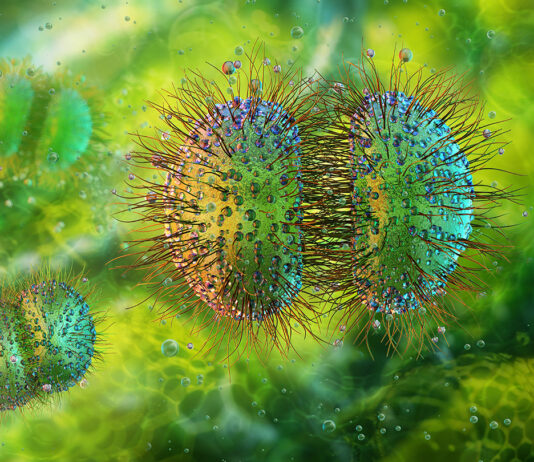 Neisseria meningitidis e polmonite in una adolescente vaccinata