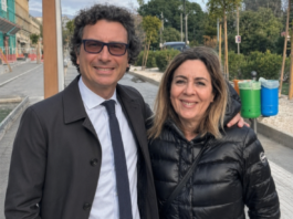 Riforma assistenza territoriale: le perplessità di CIPe e SINSPe