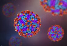Trasmissione materno-fetale del virus Zika