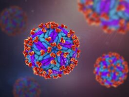 Trasmissione materno-fetale del virus Zika