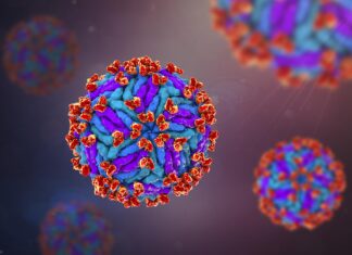 Trasmissione materno-fetale del virus Zika