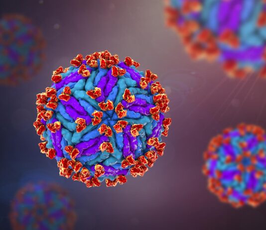 Trasmissione materno-fetale del virus Zika