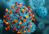 Infezione da Hantavirus