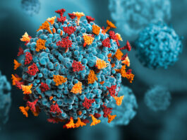 Infezione da Hantavirus