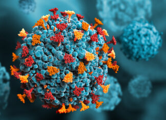 Infezione da Hantavirus