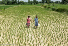 Malnutrizione infantile, UNICEF evidenzia l’impatto della crisi climatica