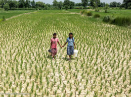 Malnutrizione infantile, UNICEF evidenzia l’impatto della crisi climatica