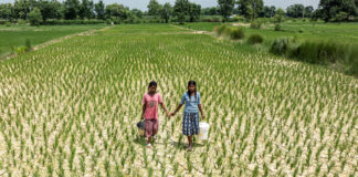 Malnutrizione infantile, UNICEF evidenzia l’impatto della crisi climatica